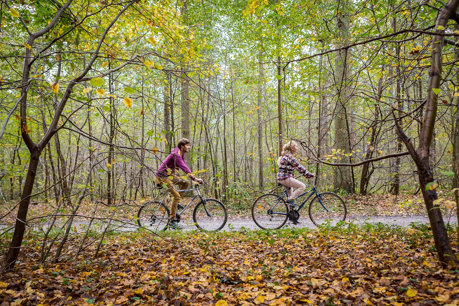 voies_vertes_automne_oise_tourisme©2014_brunobeucher_030