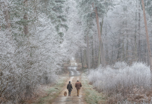 image-vacances-hiver-2025-france-oisetourisme