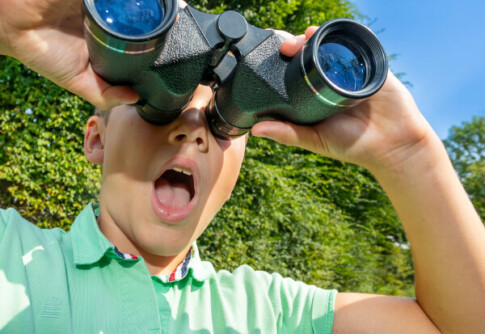 image-article-10-temps-forts-2025-oise-tourisme