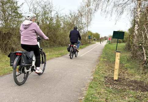 vignette-article-observatoire-compteurs