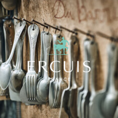 image-article-ercuis