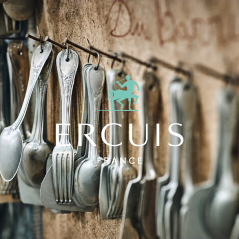 image-article-ercuis